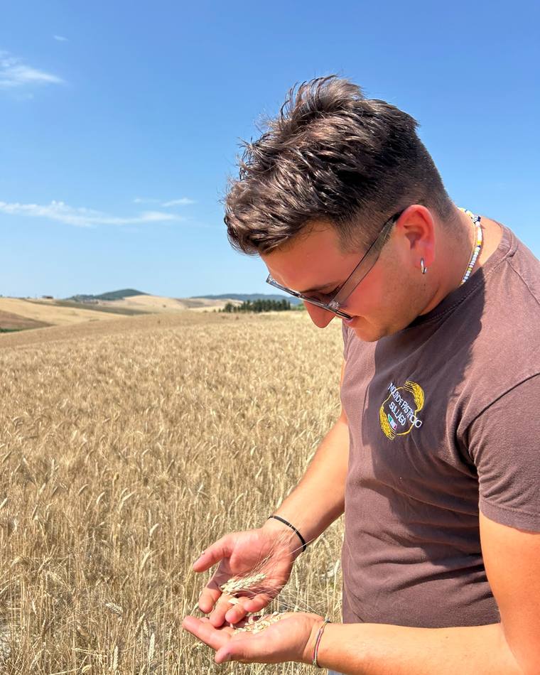 Matteo Bertoli controlla il grano appena raccolto