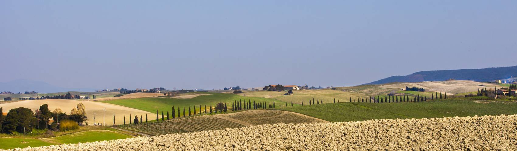 Le colline coltivate attorno al Lago di Santa Luce