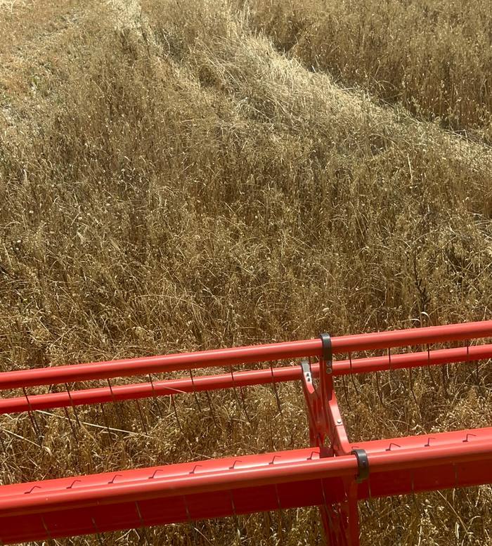 Dettaglio della barra di taglio della mietitrebbia