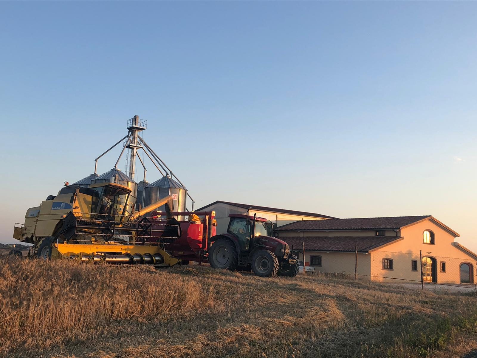 La mietitrebbia davanti ai capannoni dell'azienda agricola Bertoli